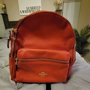 COPY - Coach backpack